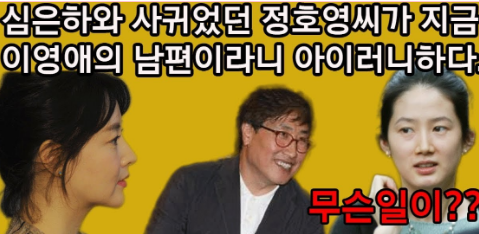 심은하 정호영