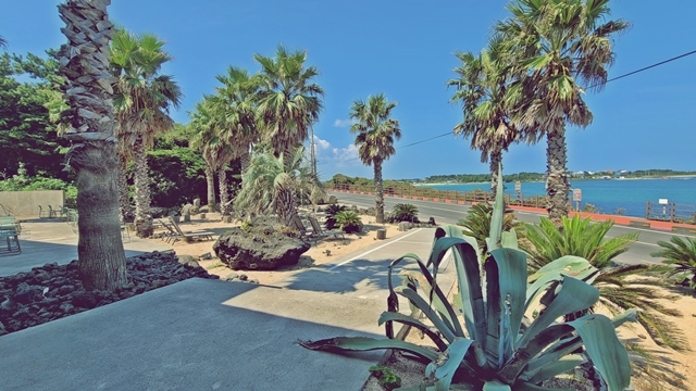 제주-종달리-해안도로-카페-꼬스뗀뇨