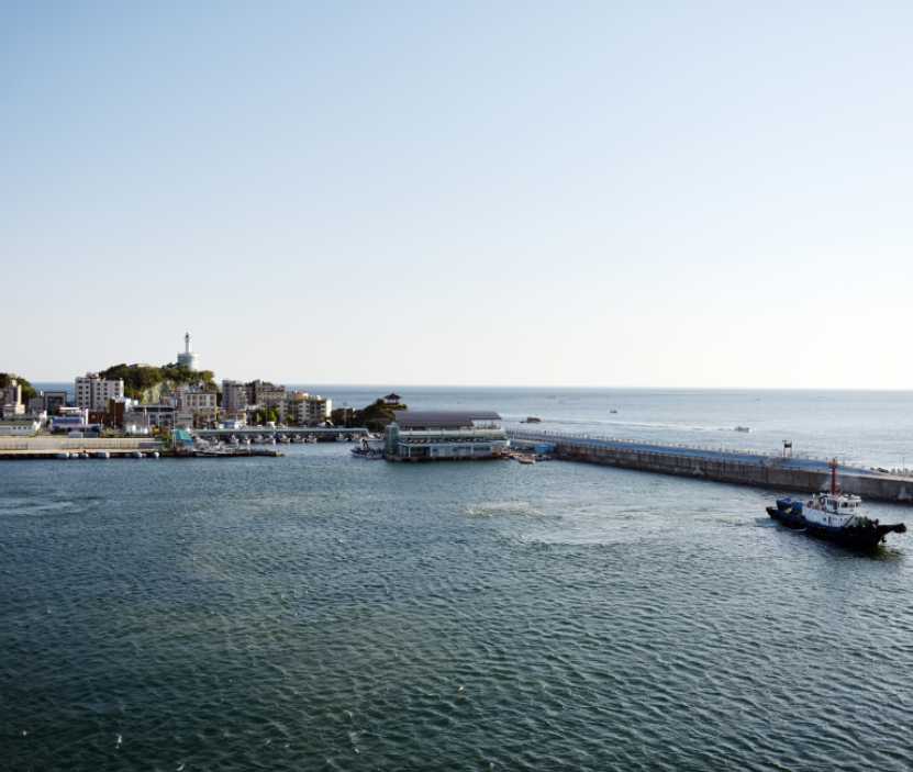 속초 오징어난전