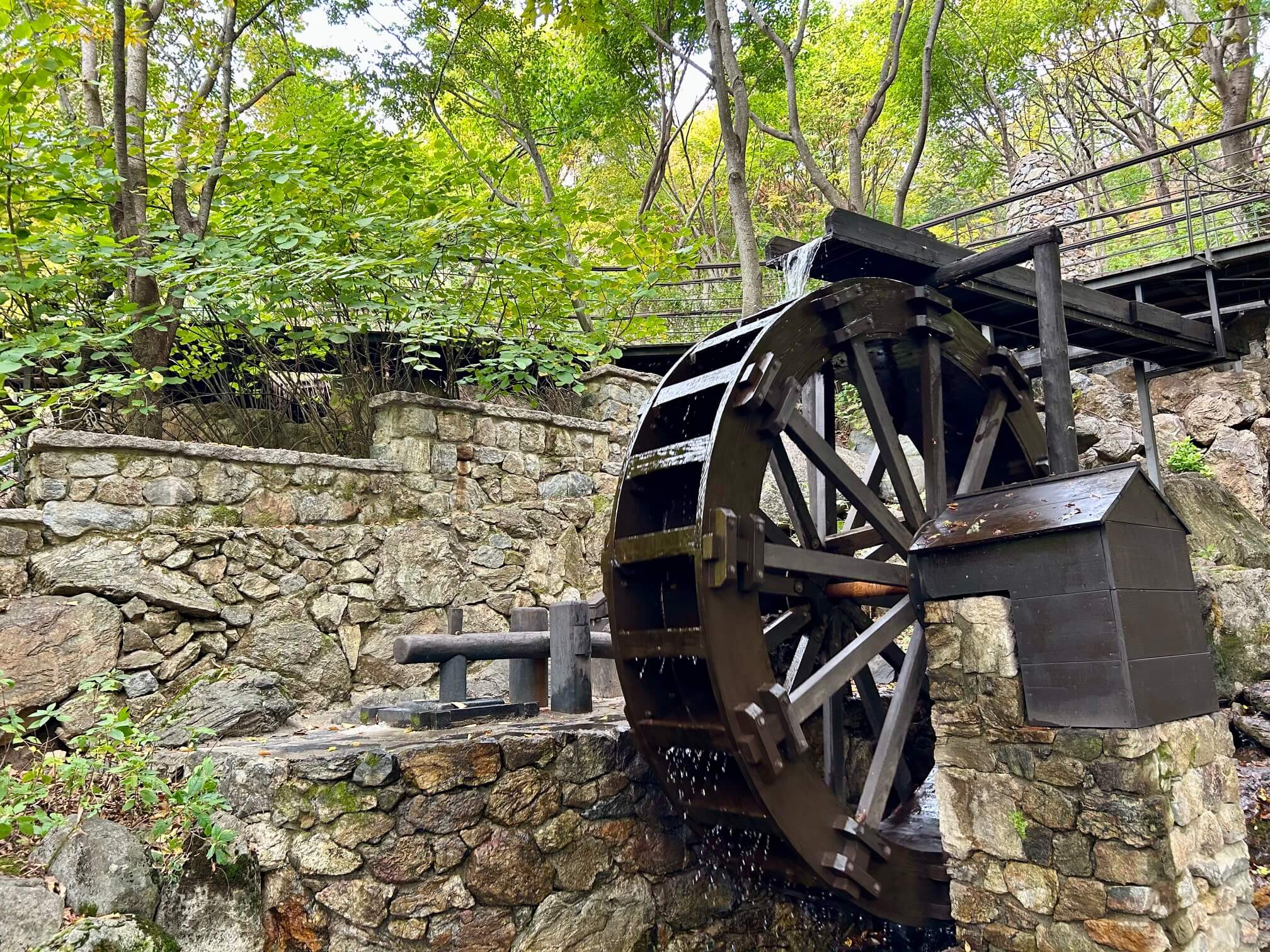 2024년 화담숲 10월 말 가을 단풍 물레방아