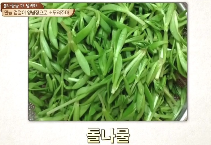 봄 제철 나물
