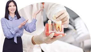 치과 치료비 건강보험 적용 범위 체크하기