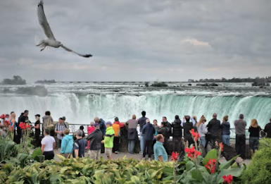 롯데관광 여행사 홈페이지