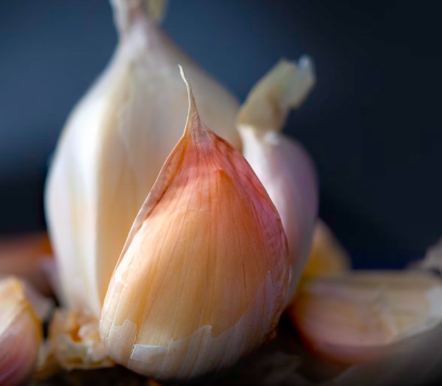마늘 효능 효과 부작용 당뇨 혈관 건강