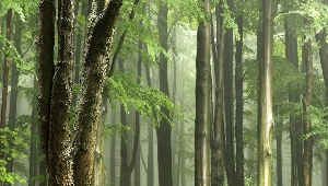 공기청정기 추천