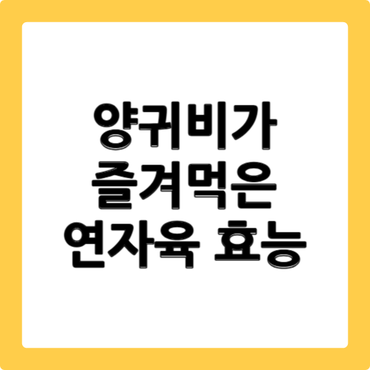 연자육 효능