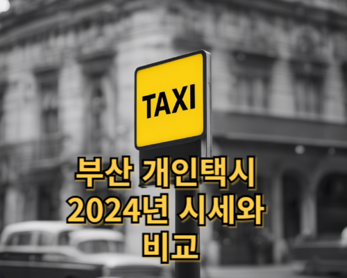 2024년 시세와 비교