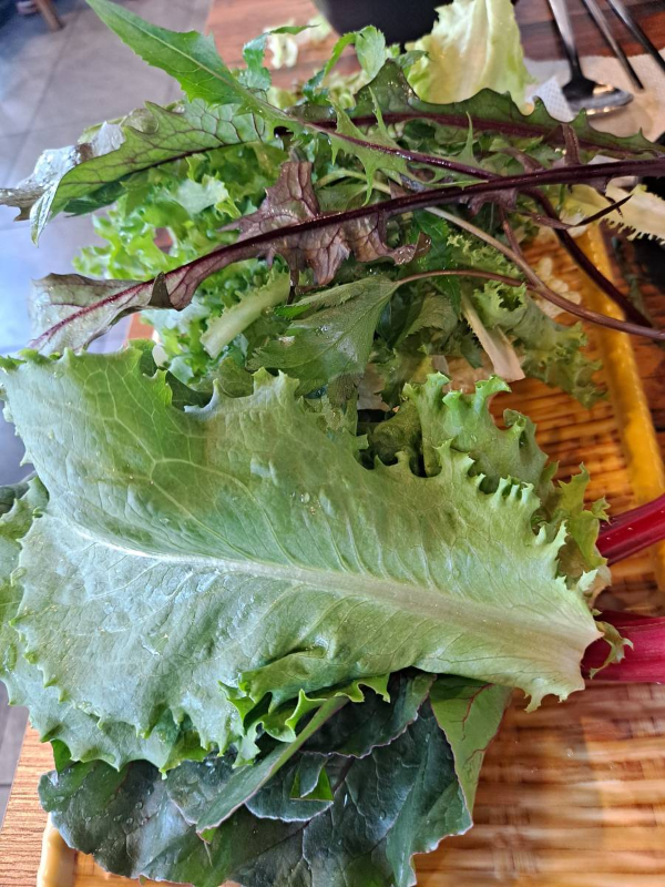 싸미랑 쌈채소 리필