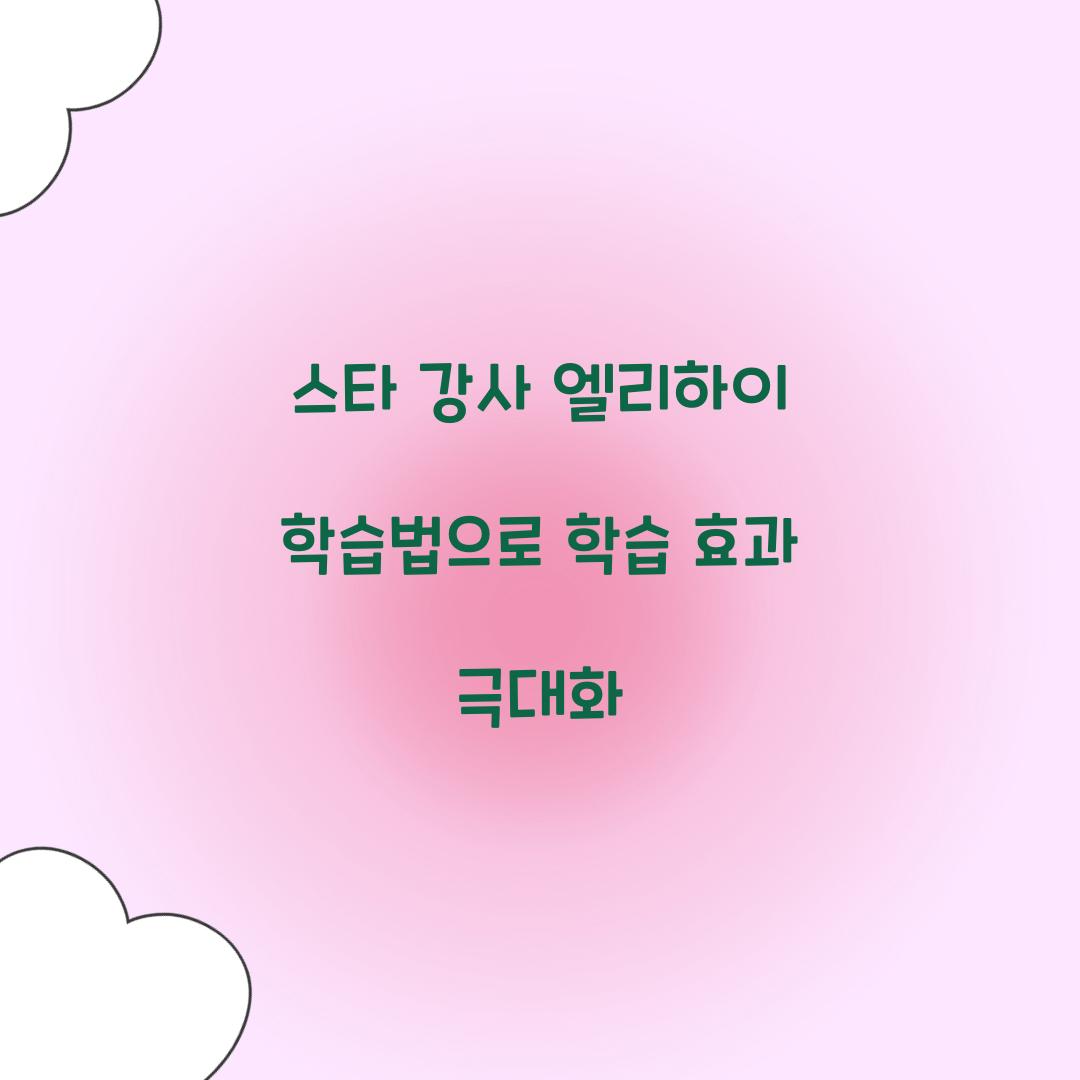 스타 강사 엘리하이 학습법