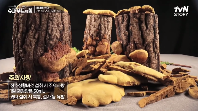 장수상황버섯_부작용안내