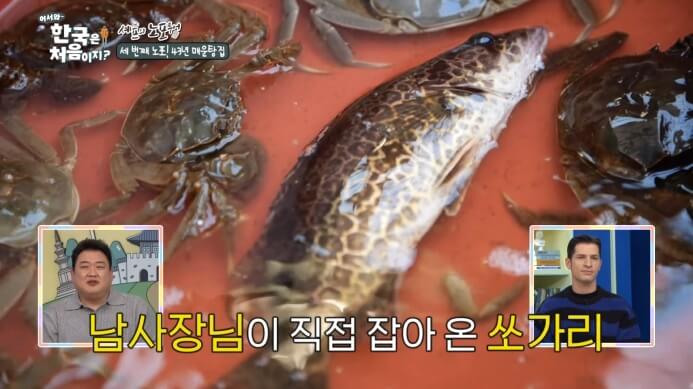 쏘가리