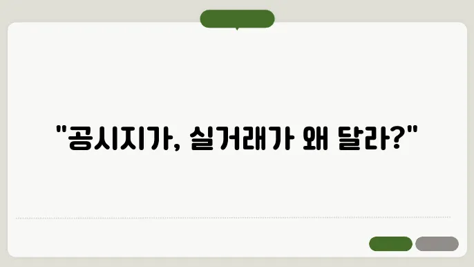 공시지가 실거래가 비교