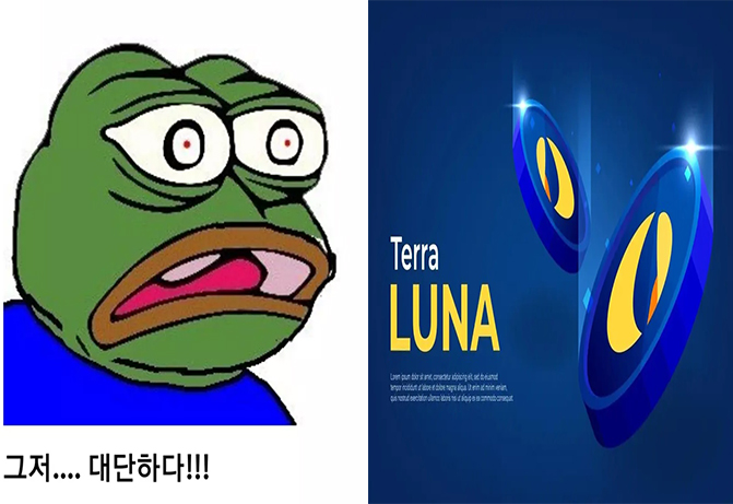 루나코인, 40만원 투자로 2억 만든 투자자 화제 (+레전드)