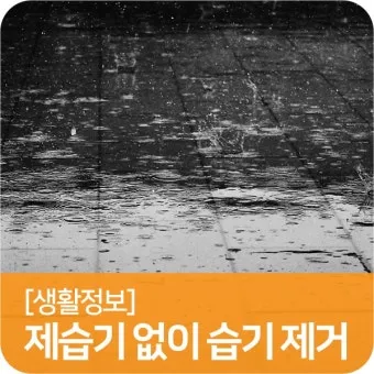 제습기 없이 습기 제거 끝 숯 염화칼슘 등 천연 제습제 활용법 완벽 가이드_16