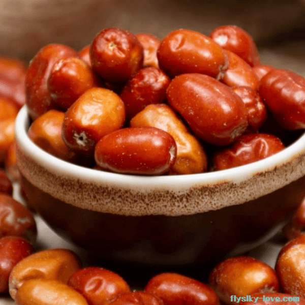 러시아올리브 열매