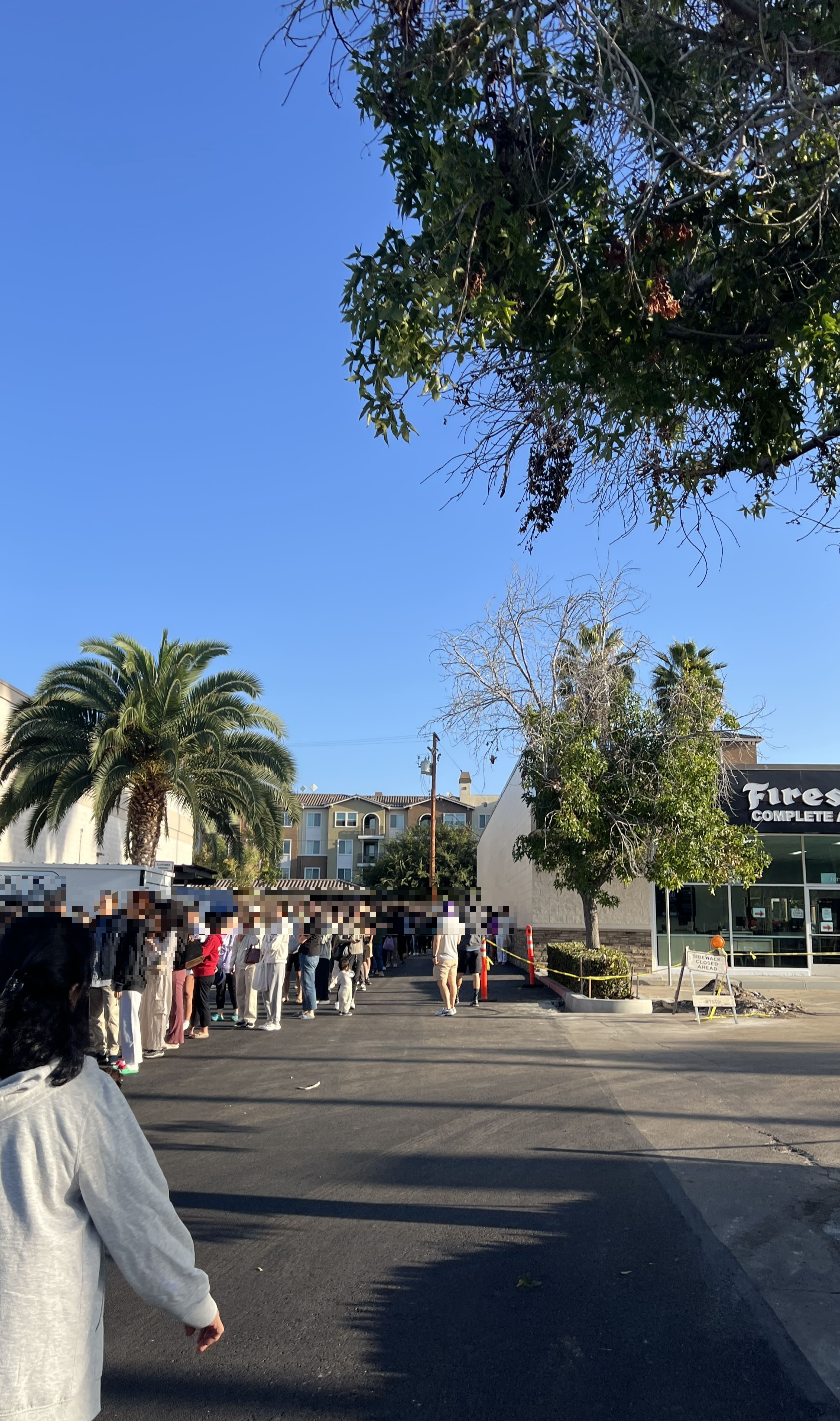 트레이더 조(Trader Joe&amp;#39;s) 미니가방