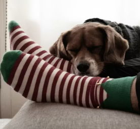 손발이 차가운 이유