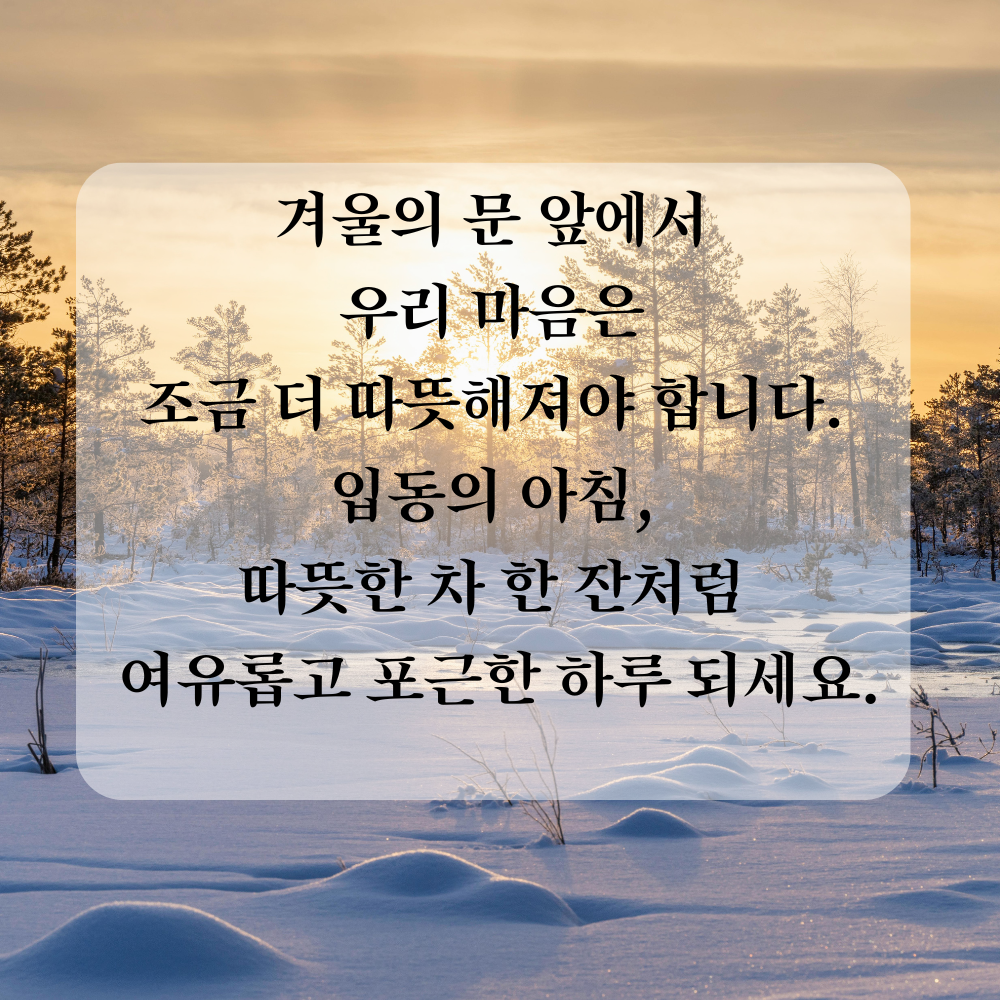 11월 인사말 입동 인사 이미지 문구 사진 그림 모음집
