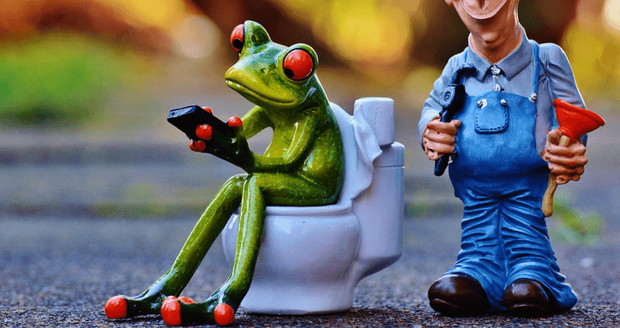 개구리가 앉아서 대변을 보는 모습