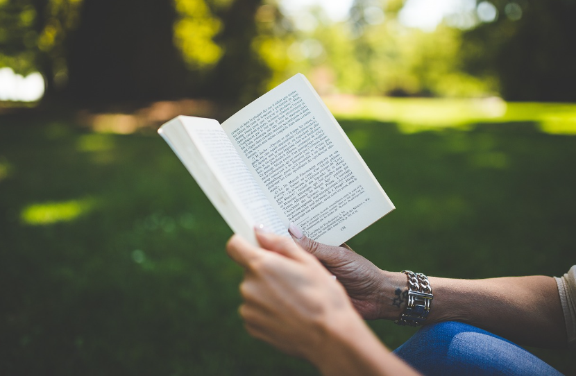 책읽는 사람 사진