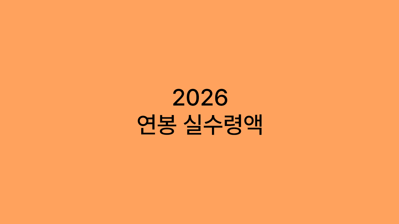 2026 연봉 월 실수령액