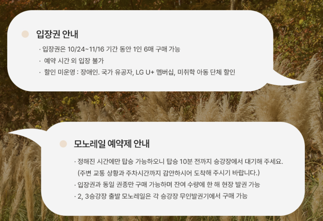 2025 화담숲 단풍축제 예약 완벽 가이드 &amp;#124; 절정시기&middot;꿀팁 총정리