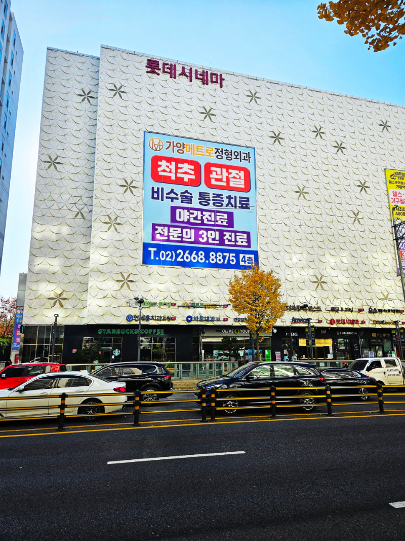 강서구 등촌1동 정형외과 유명하고 잘하는 곳 추천 TOP 5