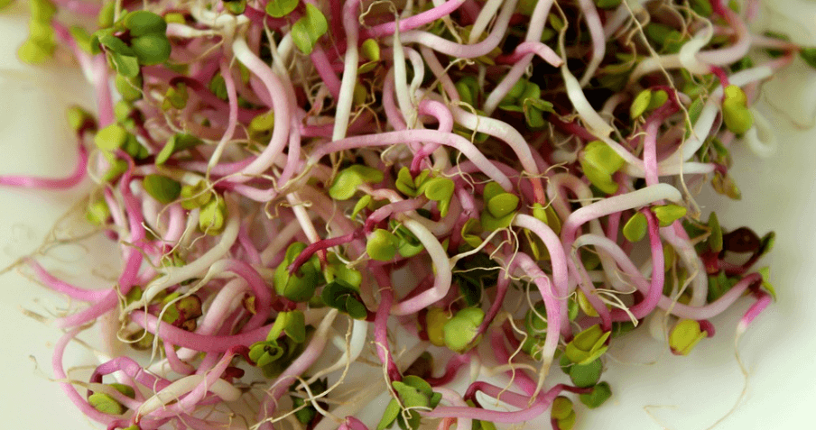 콩나물 효능 - 12