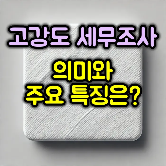 고강도 세무조사 의미
