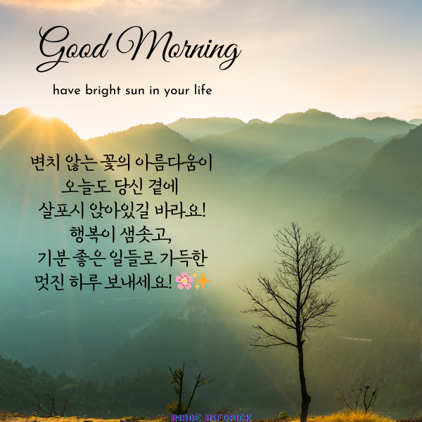 아침 인사로 좋은 글 이미지 아침 인사말 문구 모음
