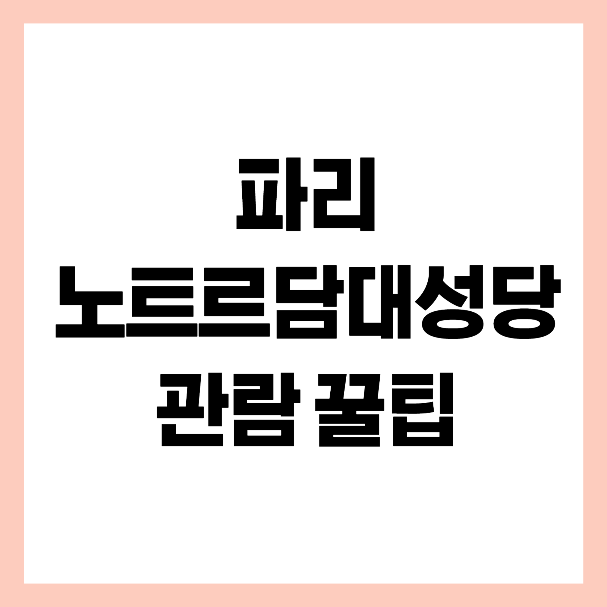 파리 노트르담 대성당 관람 꿀팁