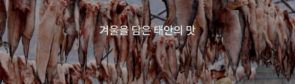태안 가볼만한곳