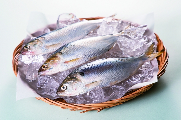 전어 효능 및 부작용