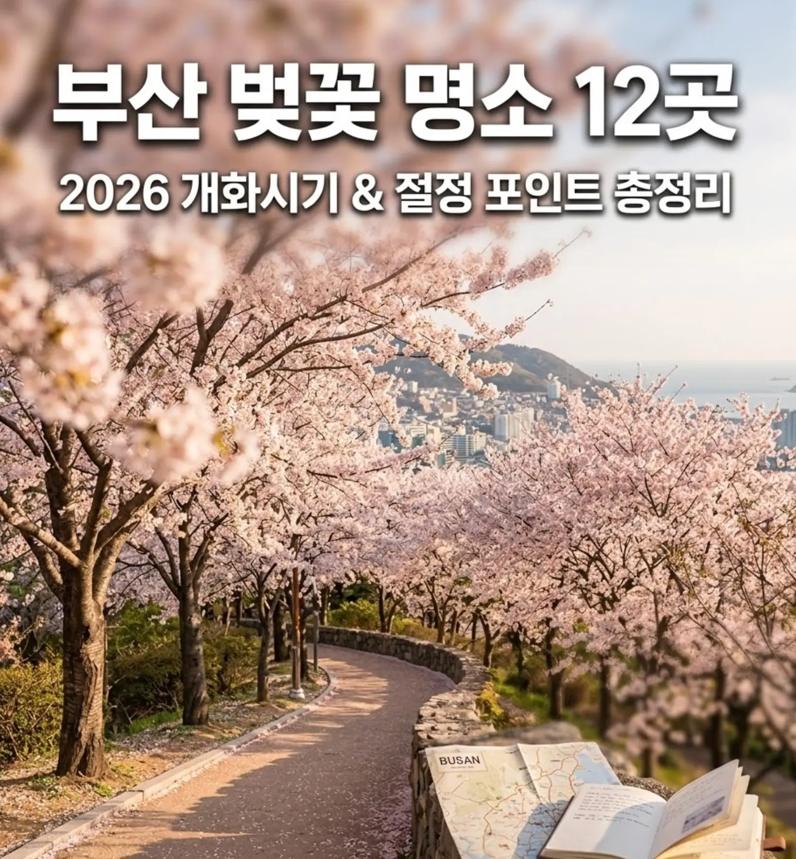 골든아워 빛 아래 만개한 벚꽃길 배경에 '부산 벚꽃 명소 12곳'이라는 굵은 흰색 텍스트와 2026 개화시기 부제목이 상단에 삽입된 여행 블로그 썸네일