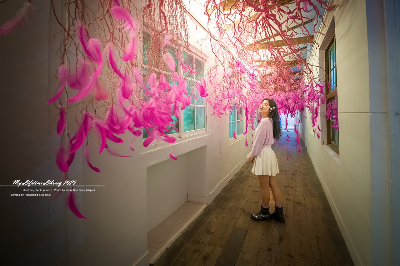 #당진 #아미미술관 #차원이