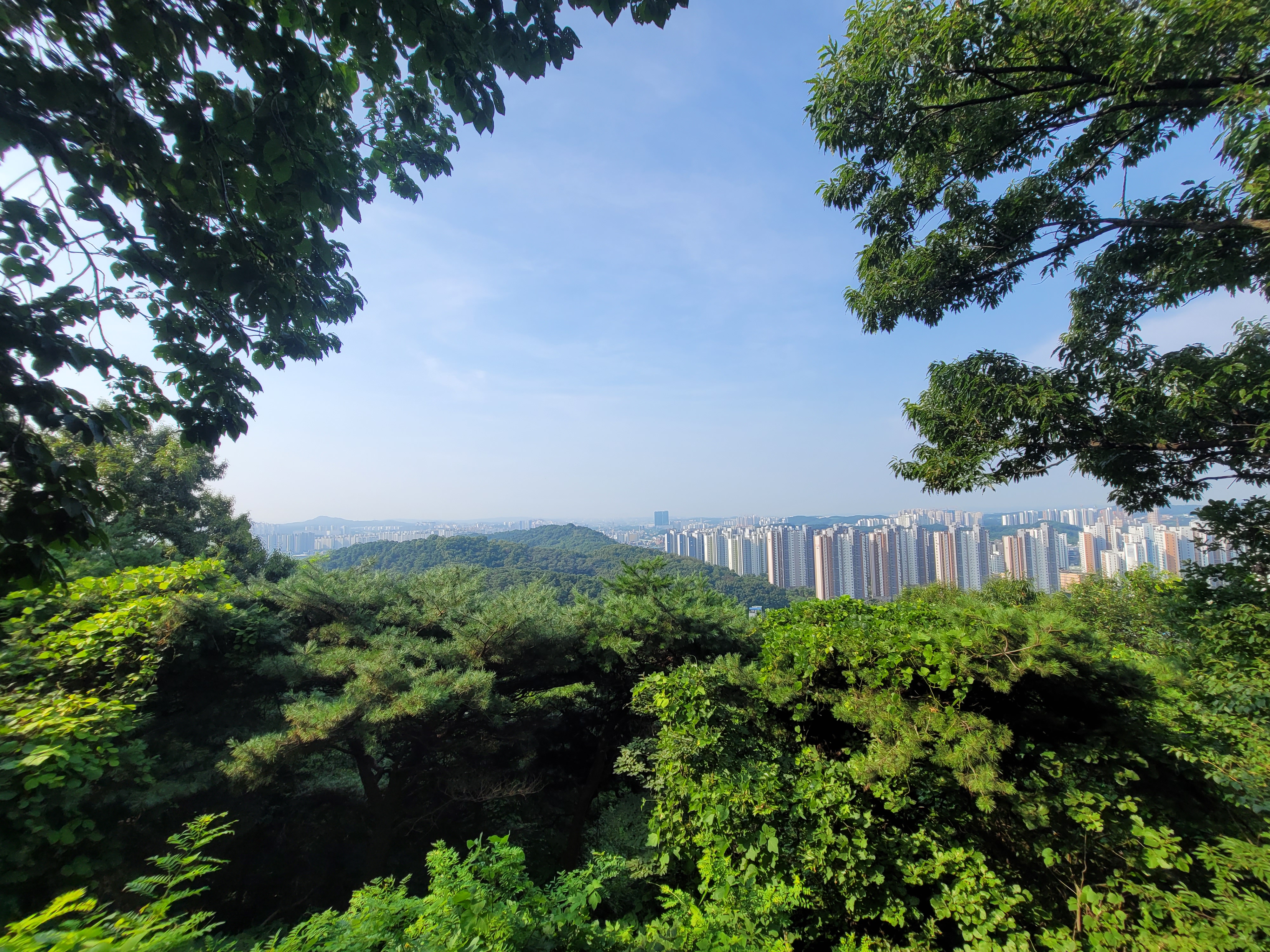 필봉산전망
