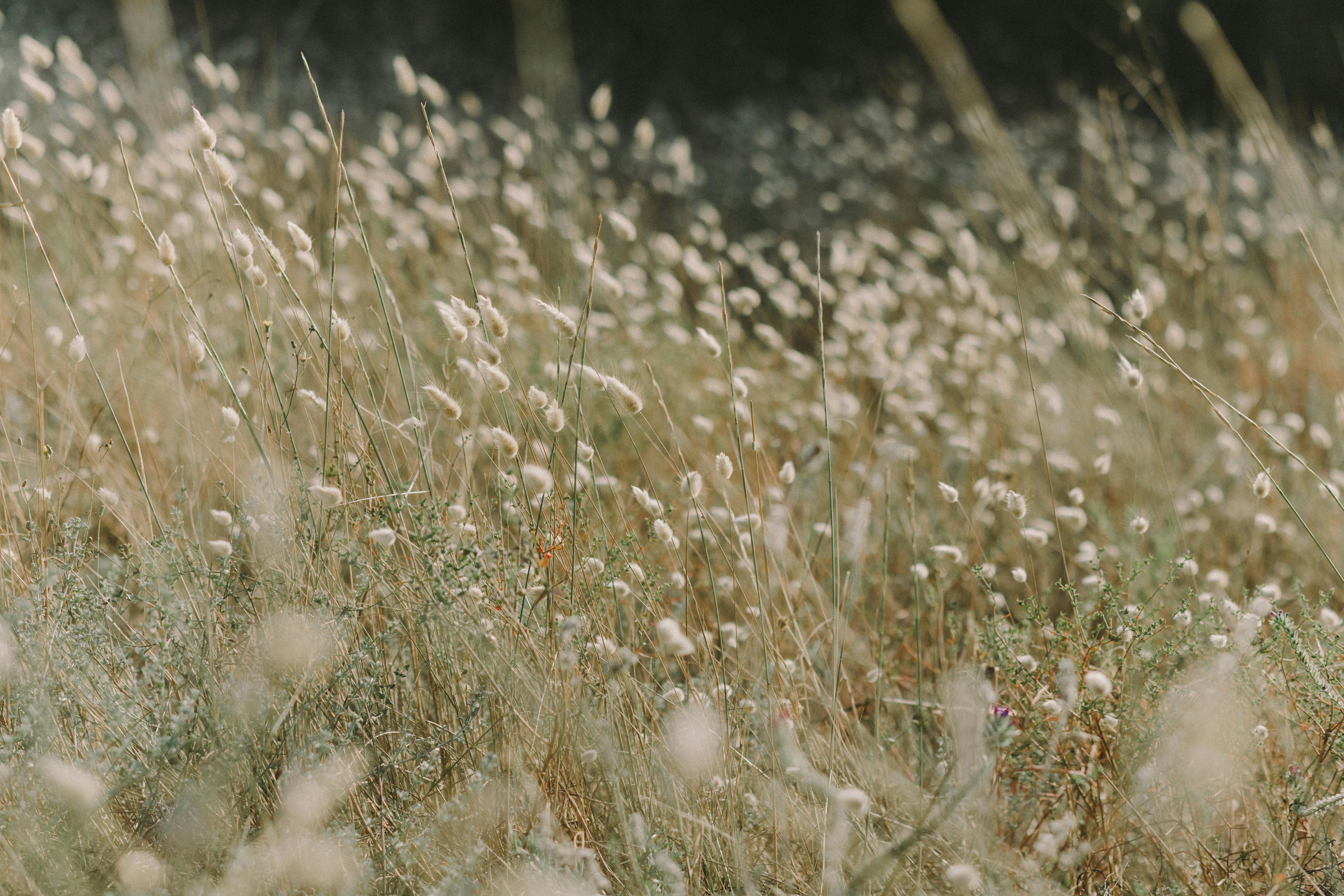 헤어진 애인이 날 위해 무언가 선물하는을 상징하는 이미지
