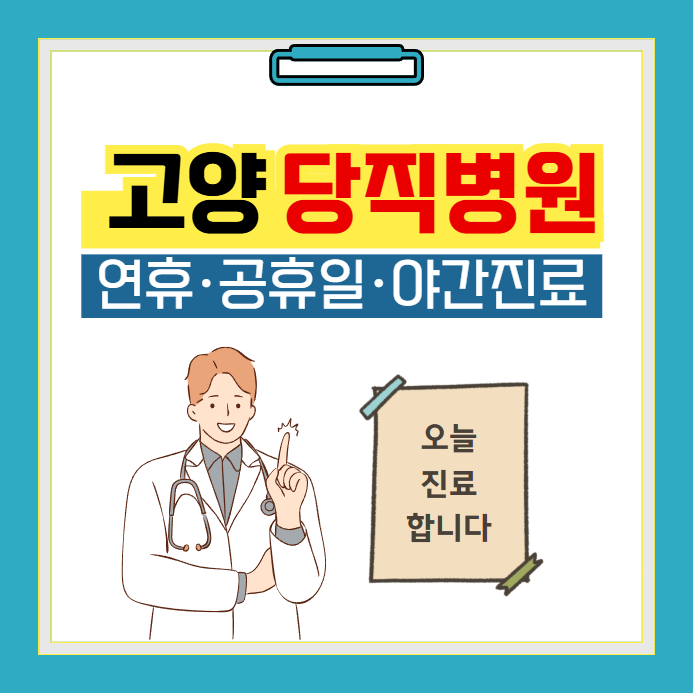 고양 당직병원 찾기
