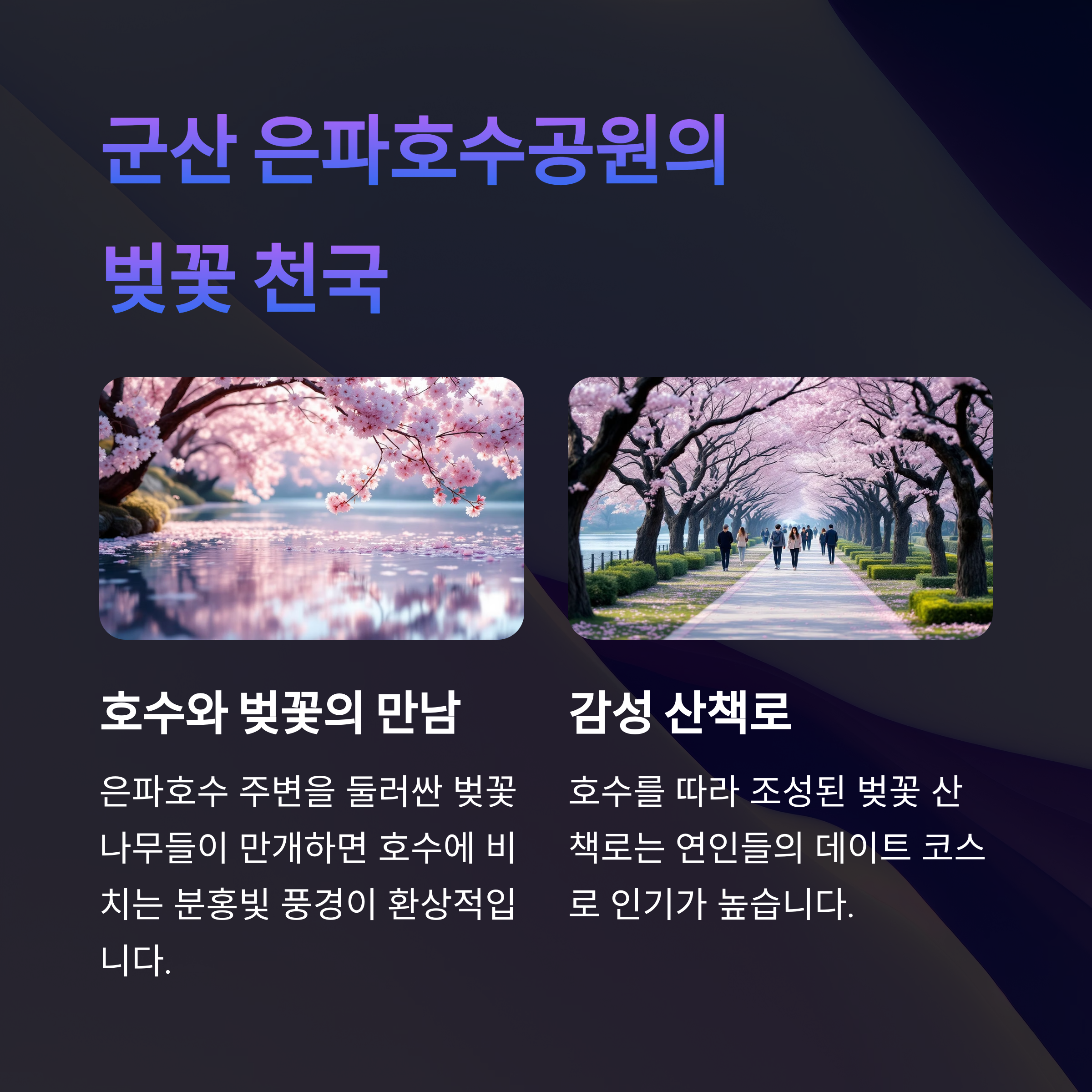 전북 봄꽃구경 명소 5선