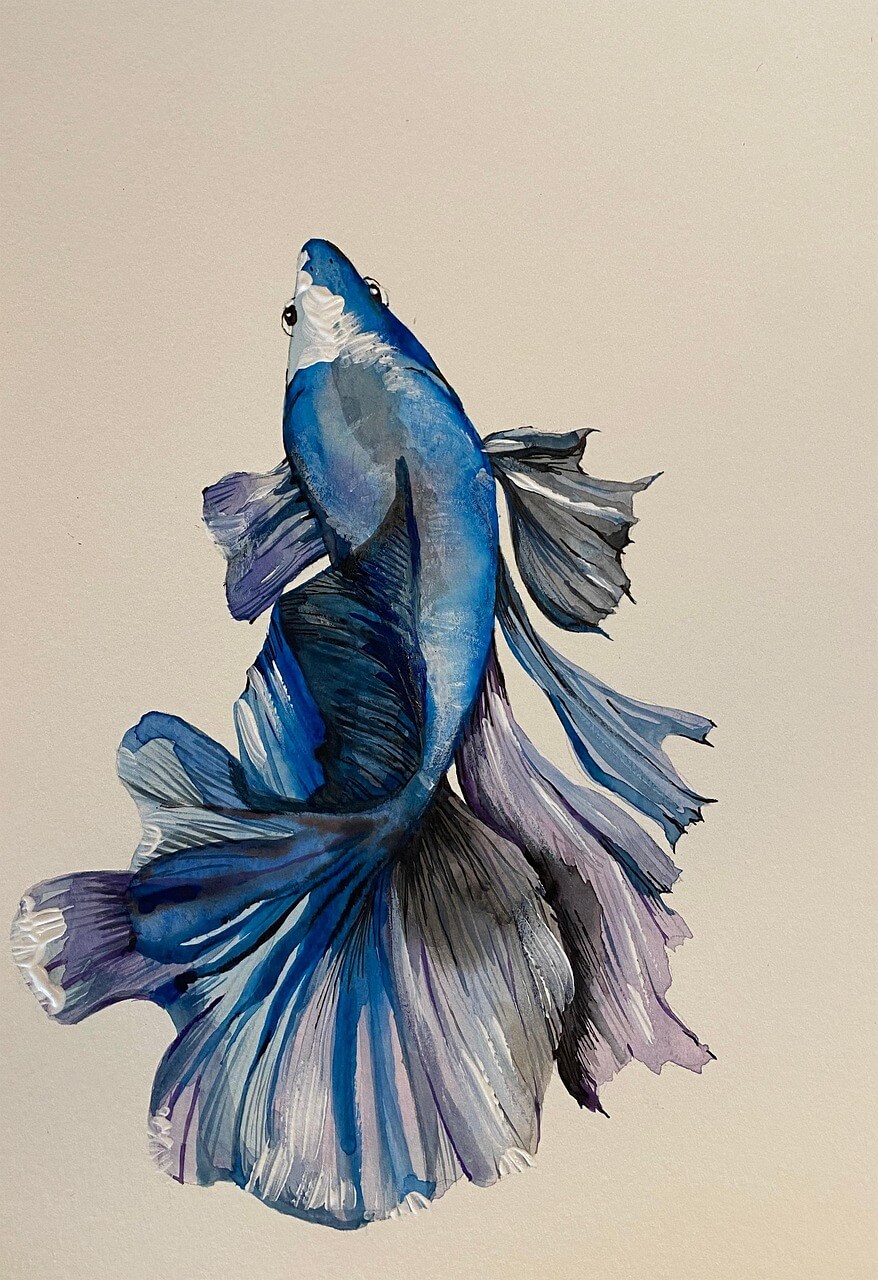 산천어축제