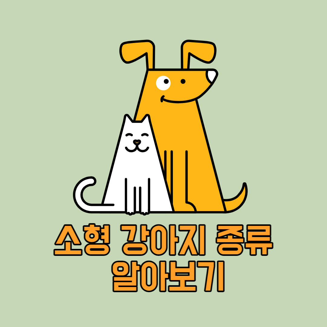 소형 강아지 종류