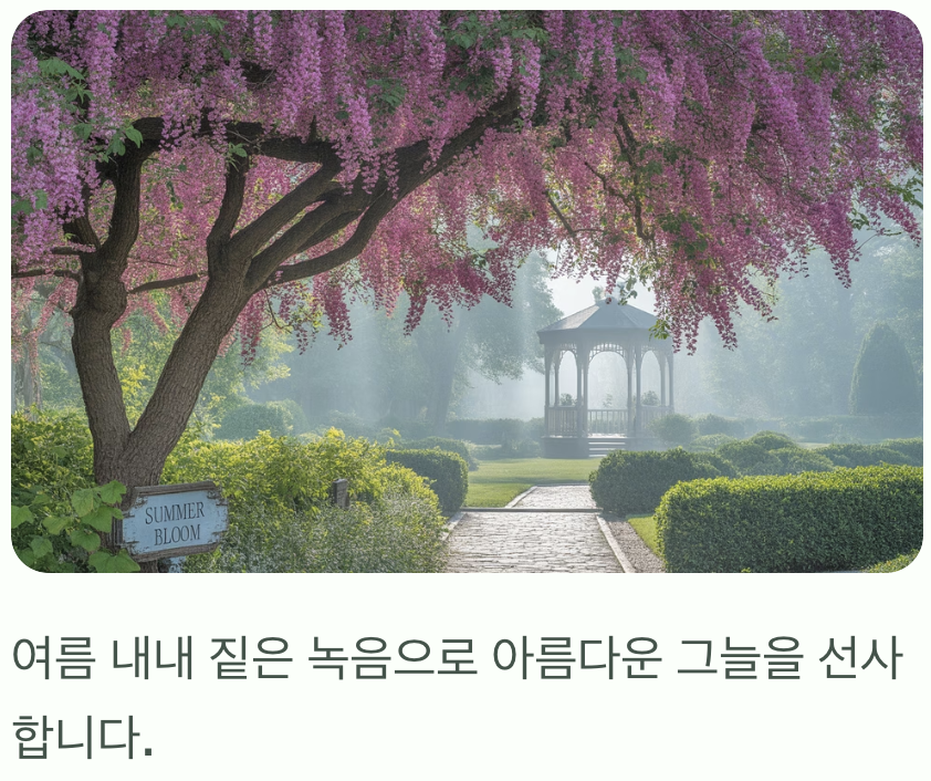 사랑을 품은 '하트' 모양 잎사귀