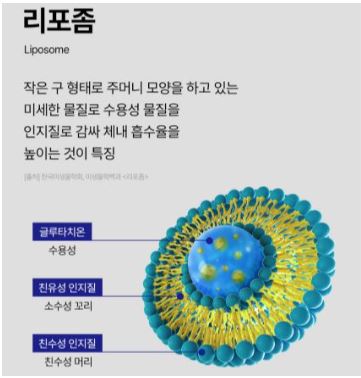 리포좀-글루타치온