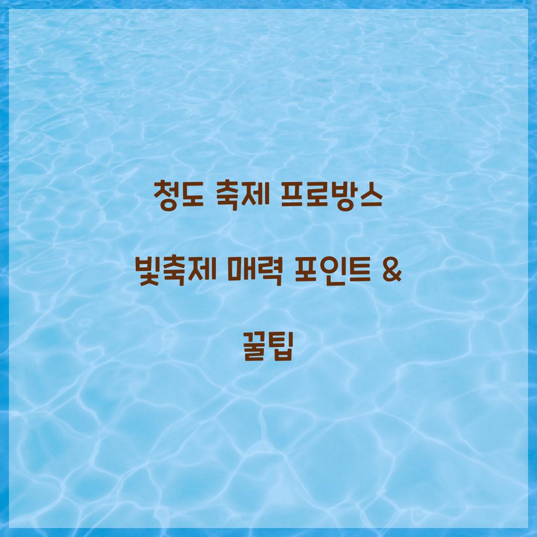 청도 축제 프로방스 빛축제