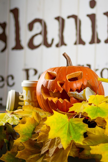 2025 인천 송도&middot;부평&middot;차이나타운까지 한눈에