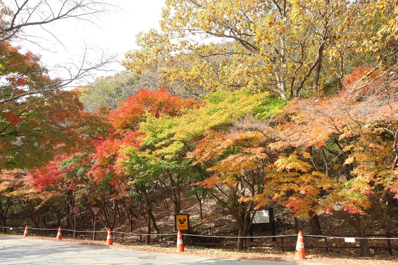 대한민국의 산 풍경이 담겨진 사진