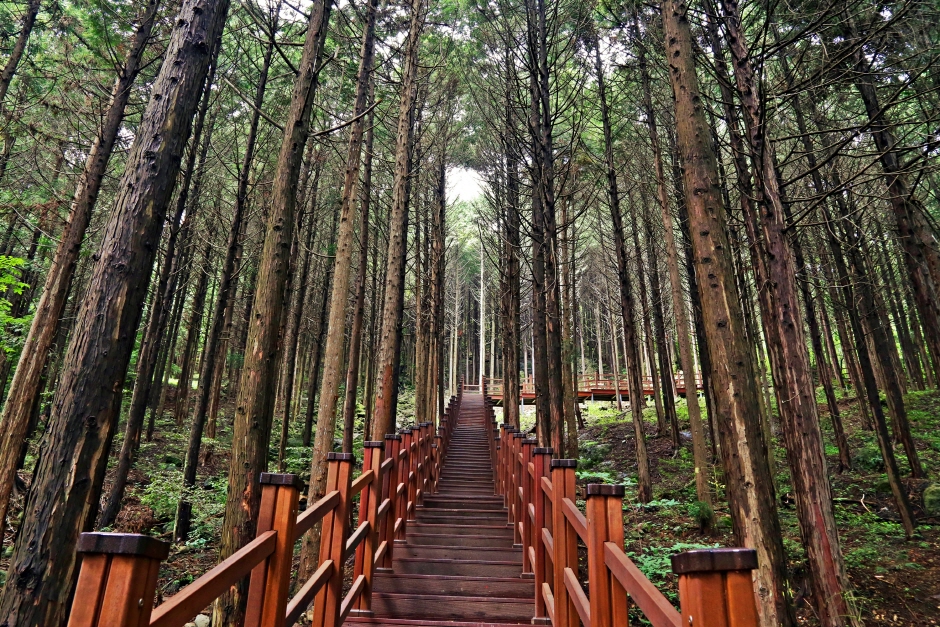 경주 가볼만한곳 베스트 10