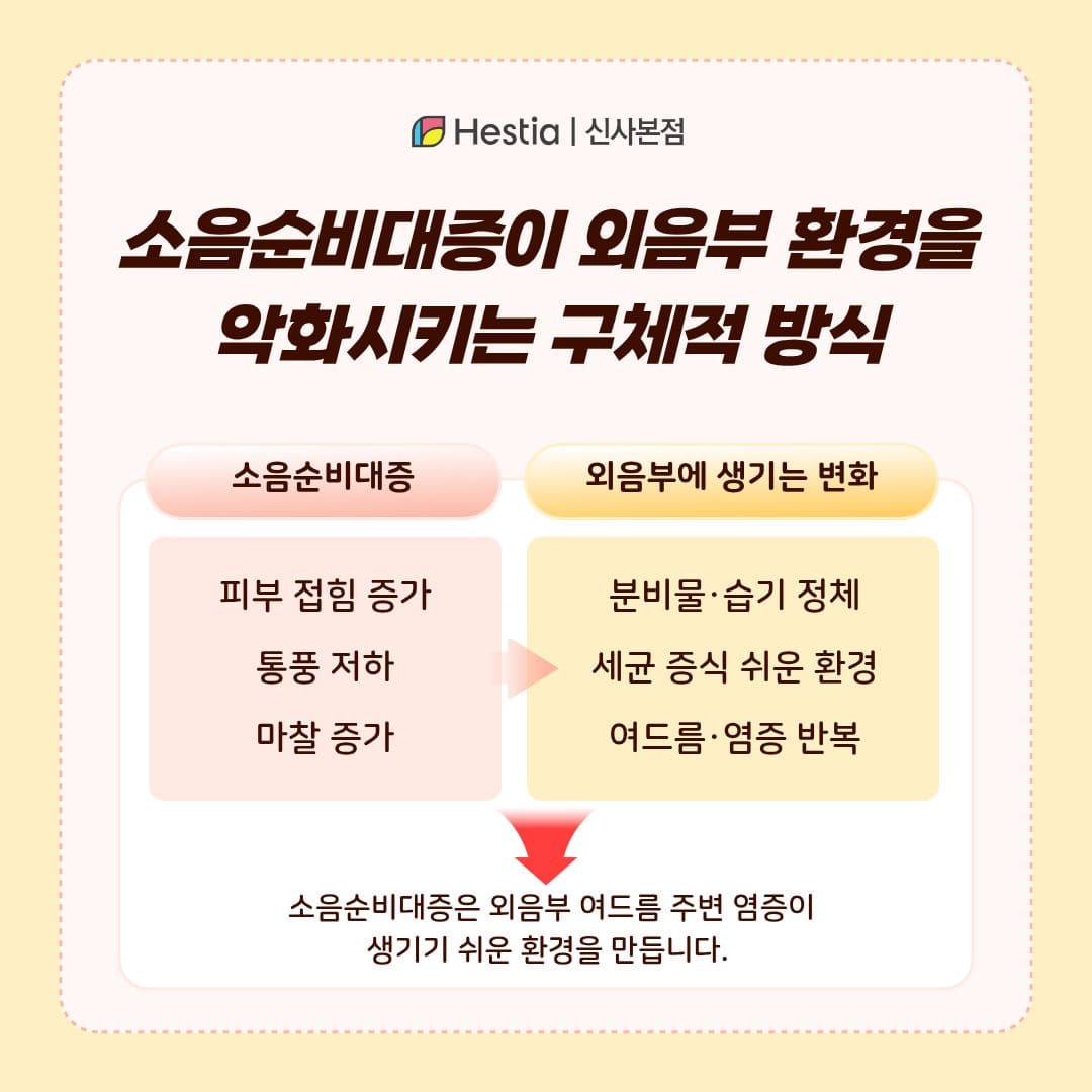 소음순비대증이 외음부 환경을 악화시키는 구체적 방식