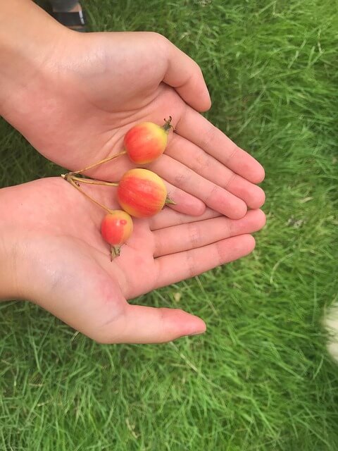 제로웨이스트 실천이 음식물 쓰레기 문제와 기후 위기를 해결하는 방법
