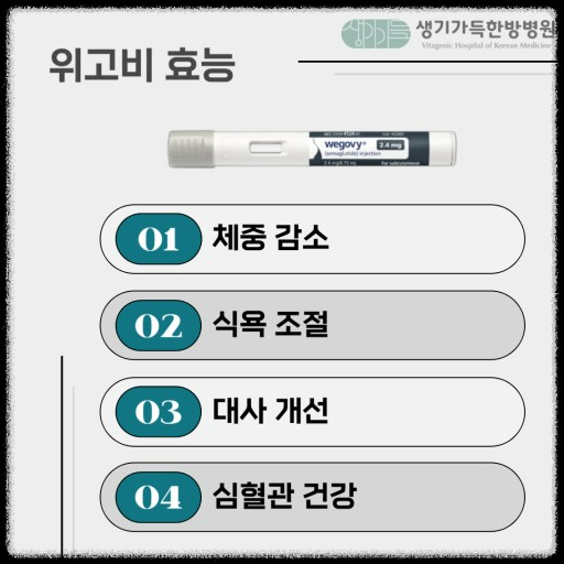 비만 치료 효과-오젬픽과 위고비의 놀라운 증명